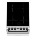 Плита DARINA PL EC241 616 W Плита DARINA PL EC241 616 W