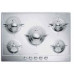 Поверхность SMEG p75 Поверхность SMEG p75