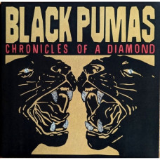 Black Pumas - Chronicles Of A Diamond (coloured) (5400863146160) виниловая пластинка