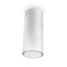 Вытяжка FABER Cylindra Isola EVO Plus WH Gloss A37 белый Вытяжка FABER Cylindra Isola EVO Plus WH Gloss A37 белый