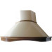 Вытяжка FALMEC MIMOSA ANG 100х100(600) S багет цвет дуб CMIA00.E0#741S461F Вытяжка FALMEC MIMOSA ANG 100х100(600) S багет цвет дуб CMIA00.E0#741S461F